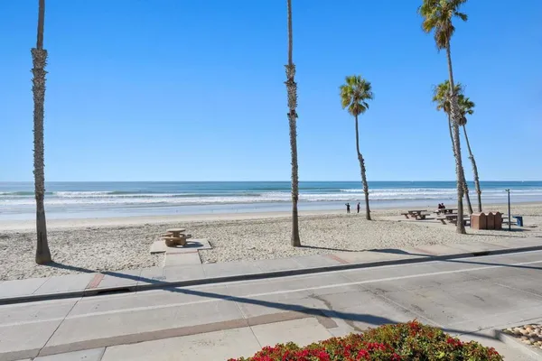 a view of ocean with a palm tree