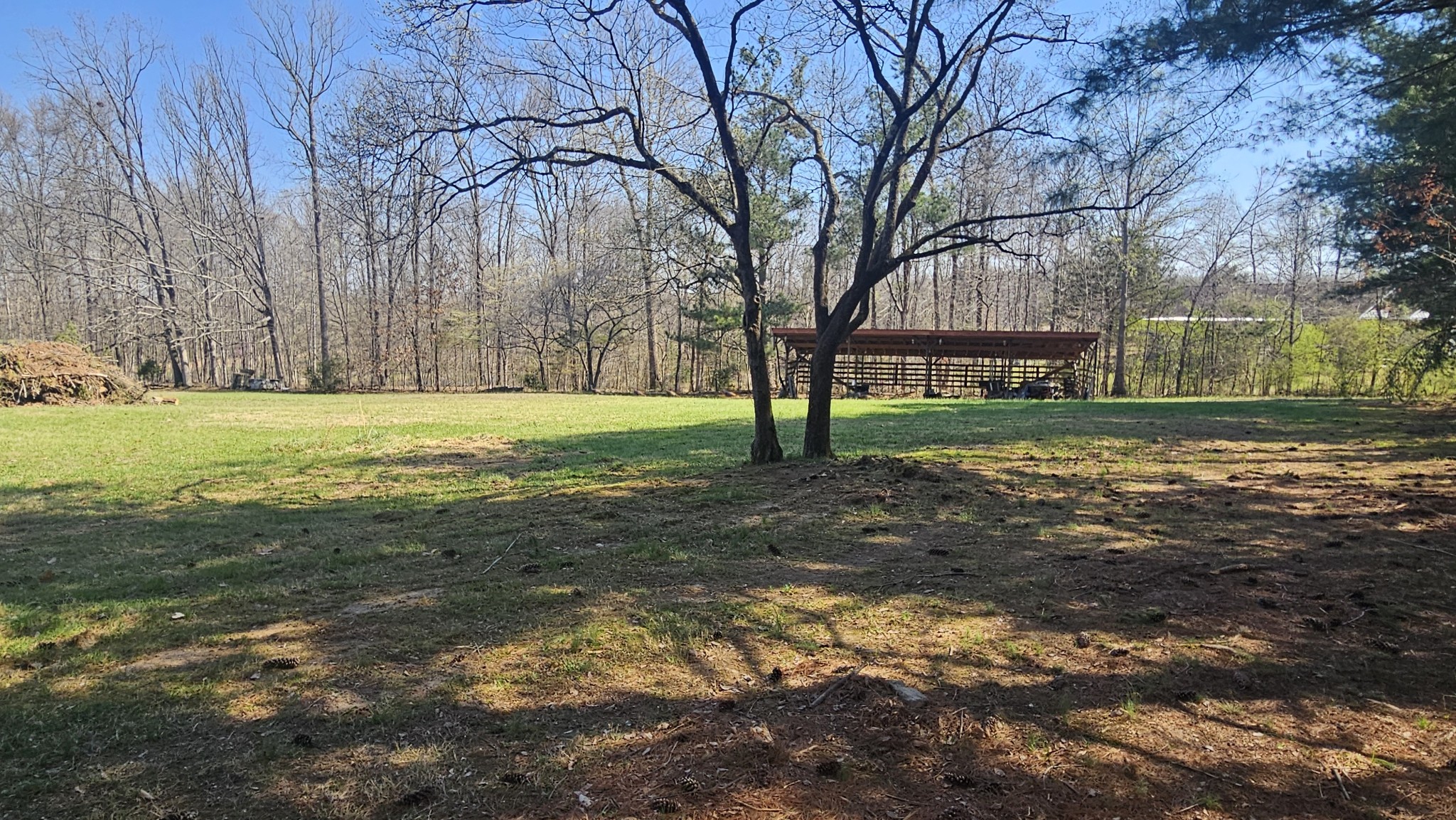 2769 New Hall Road Greenbrier, TN 37073 - Photo 38 of 58 a view of a trees in a yard