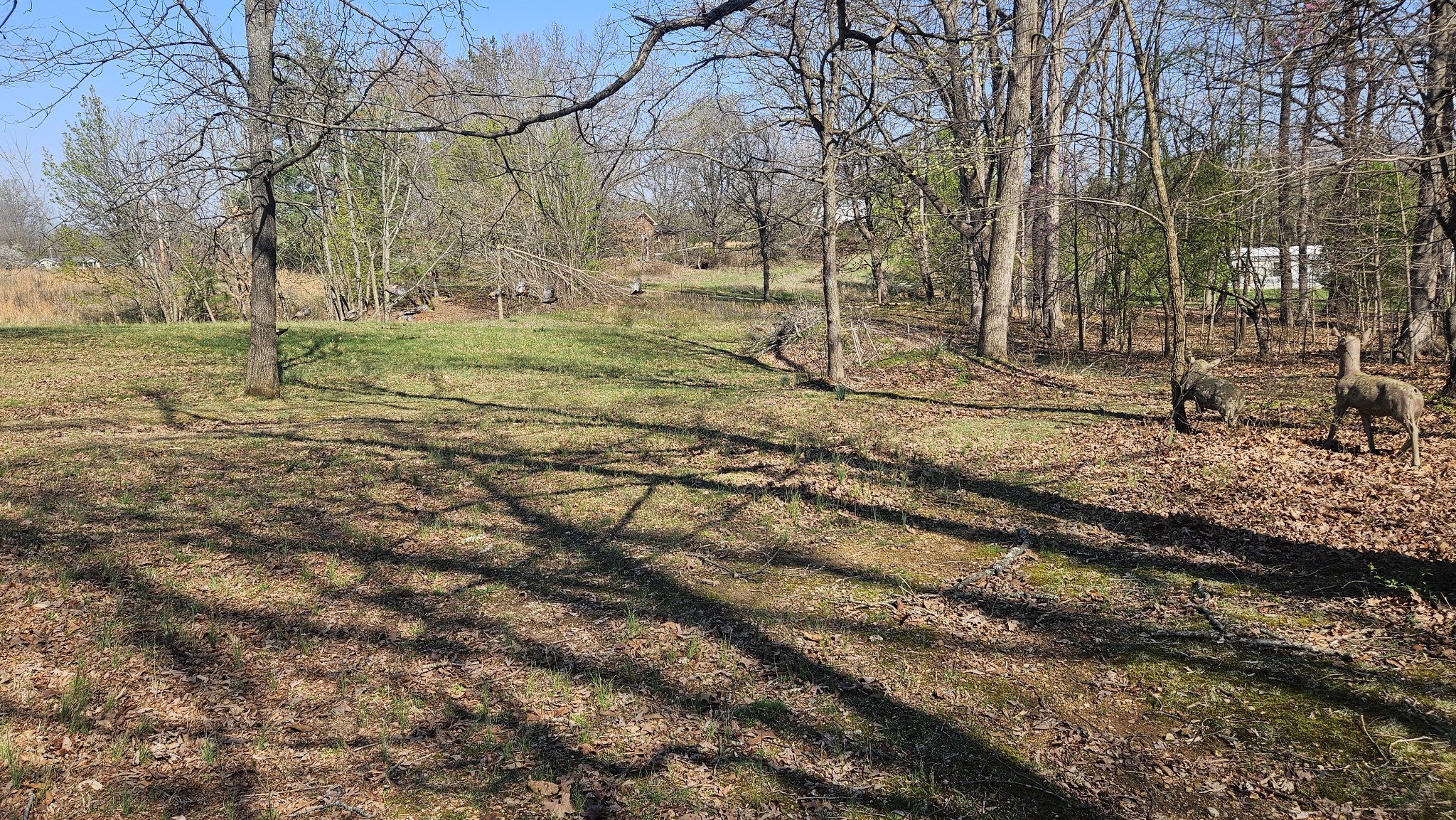 2769 New Hall Road Greenbrier, TN 37073 - Photo 41 of 58 a backyard of apartments with large trees