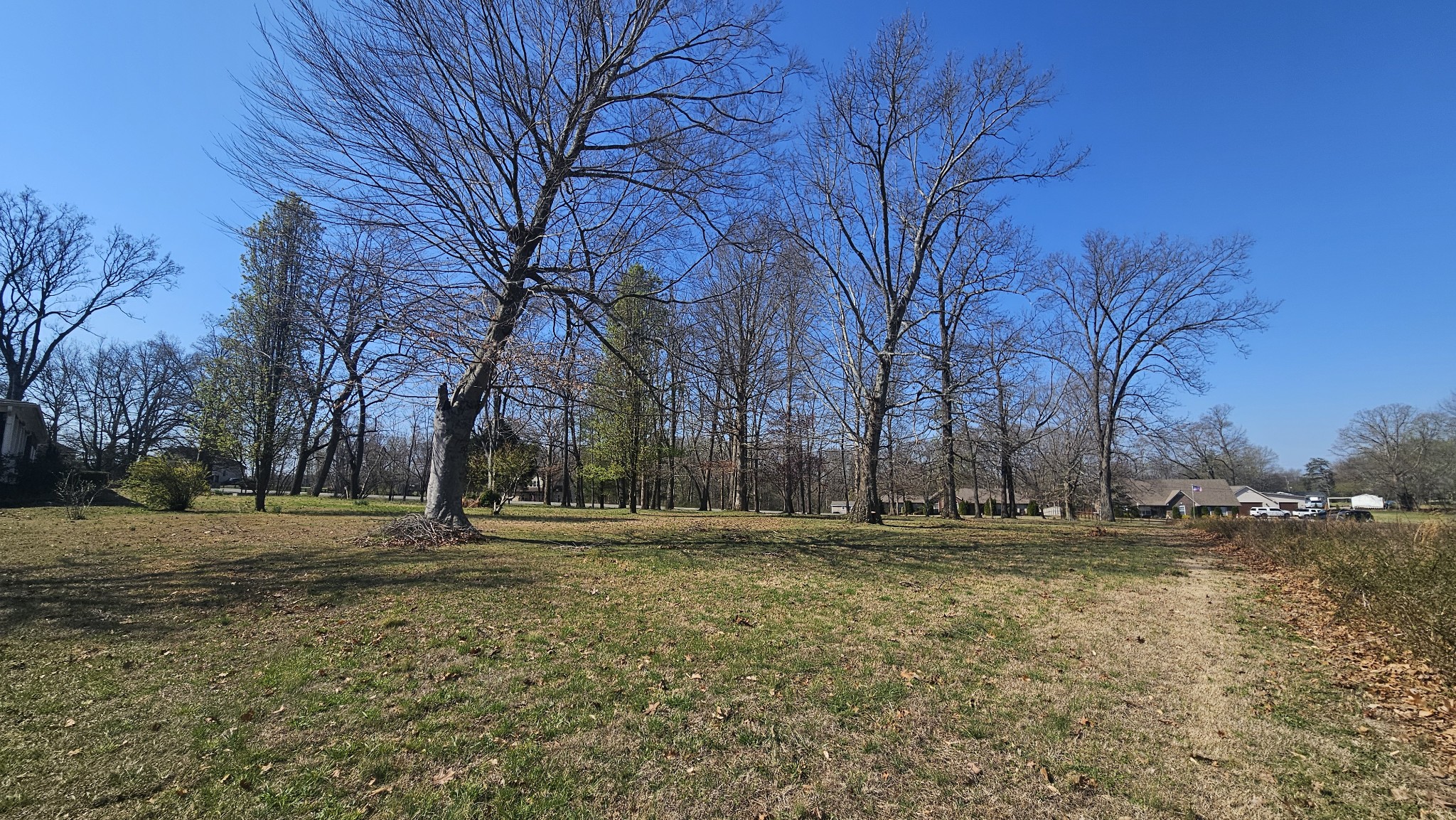 2769 New Hall Road Greenbrier, TN 37073 - Photo 46 of 58 a backyard of a house with large trees