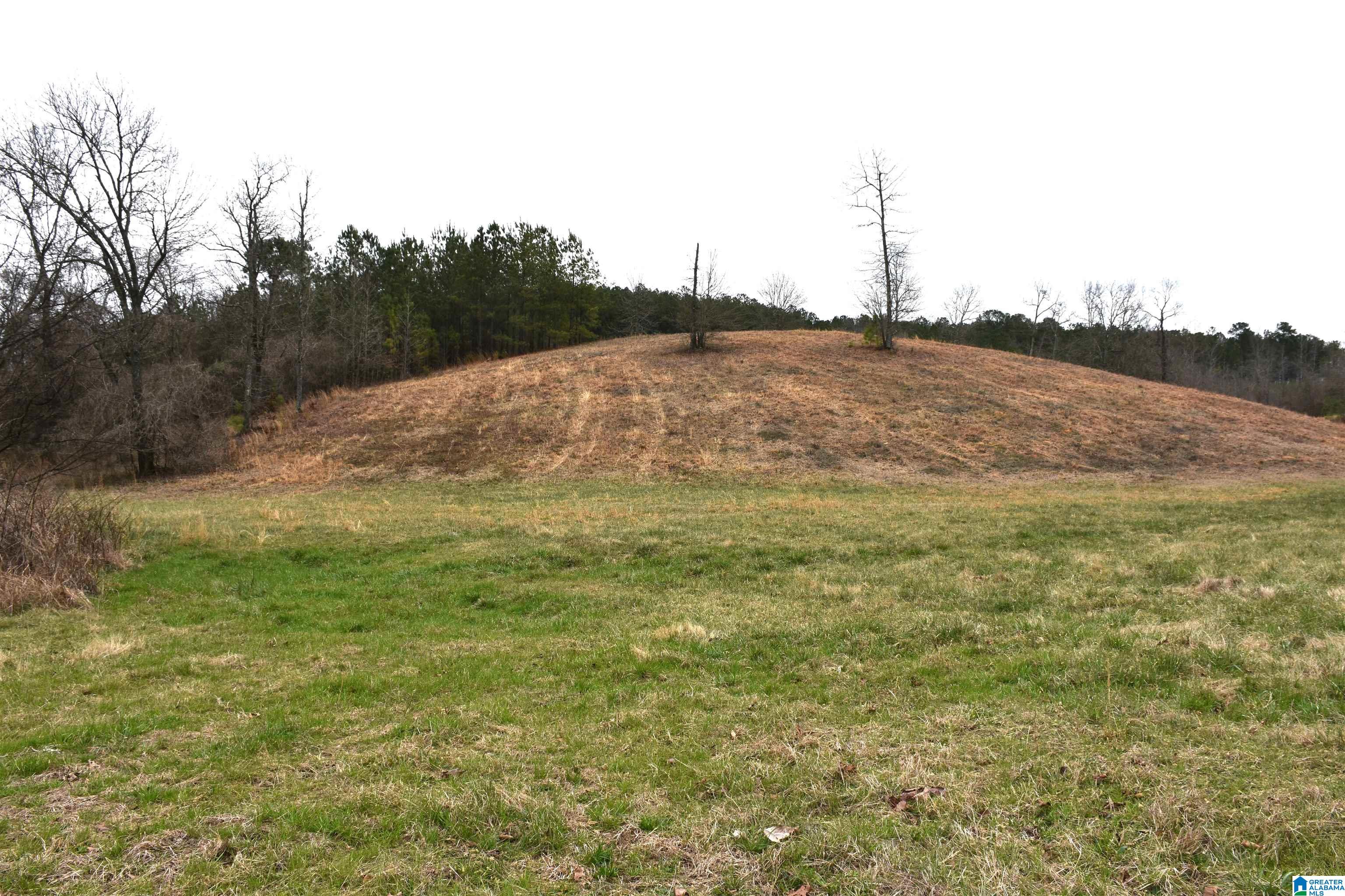 0 Grist Mill Road Alpine, AL 35014 - Photo 3 of 10
