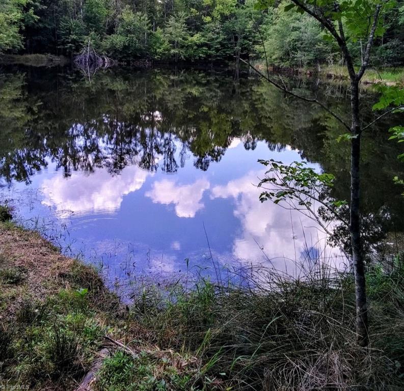 9086-9092 Belews Creek Road Belews Creek, NC 27009 - Photo 3 of 3 Pond on property