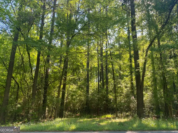 a view of a yard with large trees