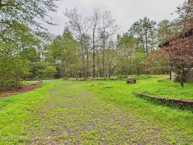 a view of a park with large trees