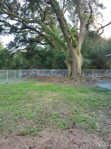 a view of a yard with a tree