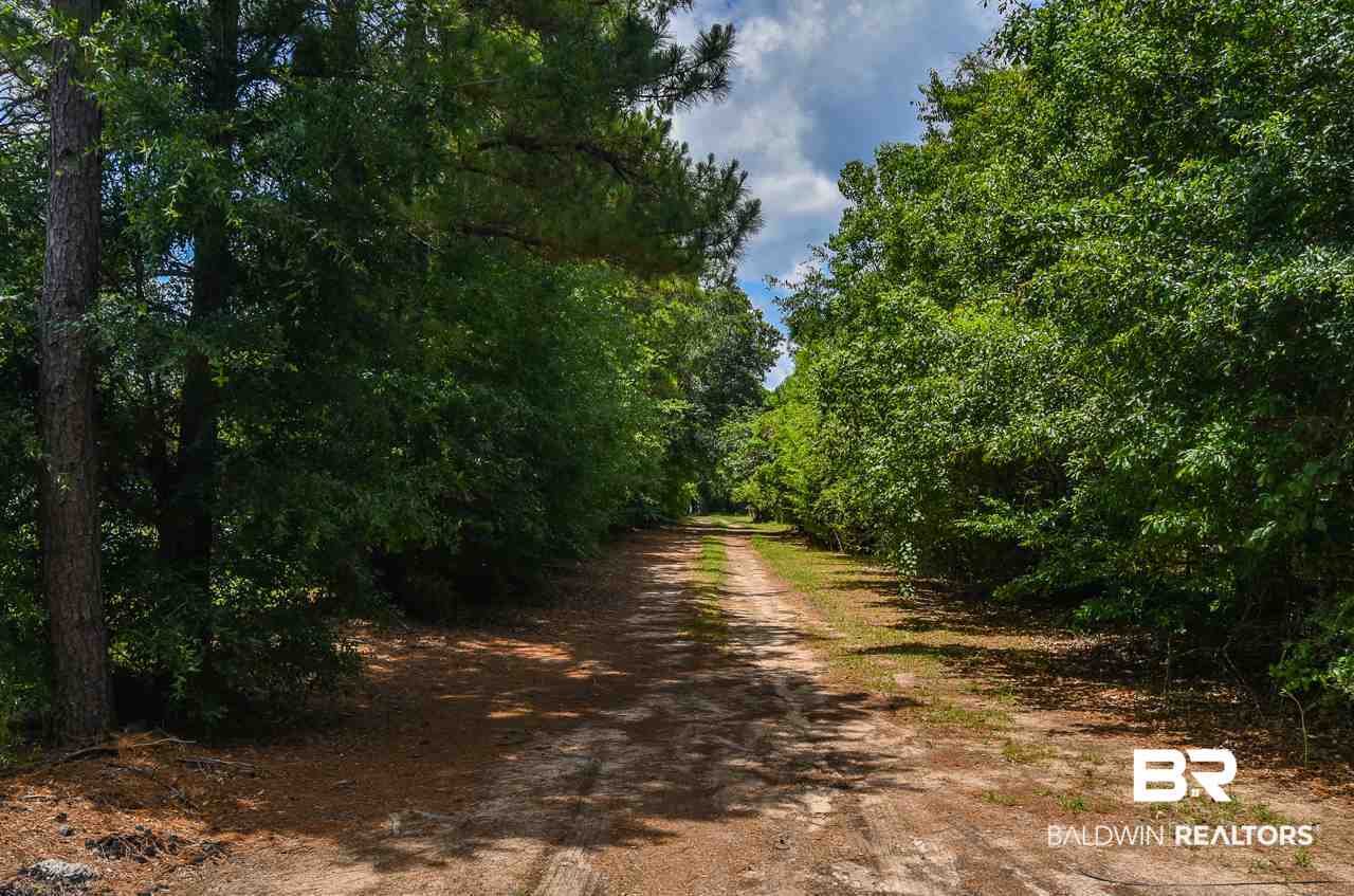 0 Colton Lane Fairhope, AL 36532 - Photo 16 of 16