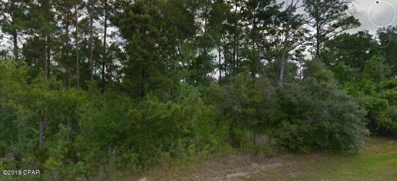 0 Northwest Miller Road Altha, FL 32421 - Photo 1 of 3 Gallery Image 1