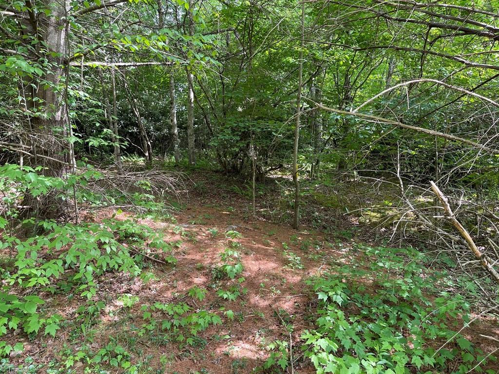 Tbd Tbd Autumn View Road Fancy Gap, VA 24328 - Photo 6 of 11 Gallery Image 6