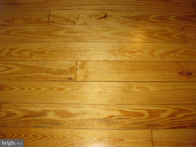 301 Happy Creek Road Locust Grove, VA 22508 - Photo 3 of 30 Gleaming newly refinished hardwood floors