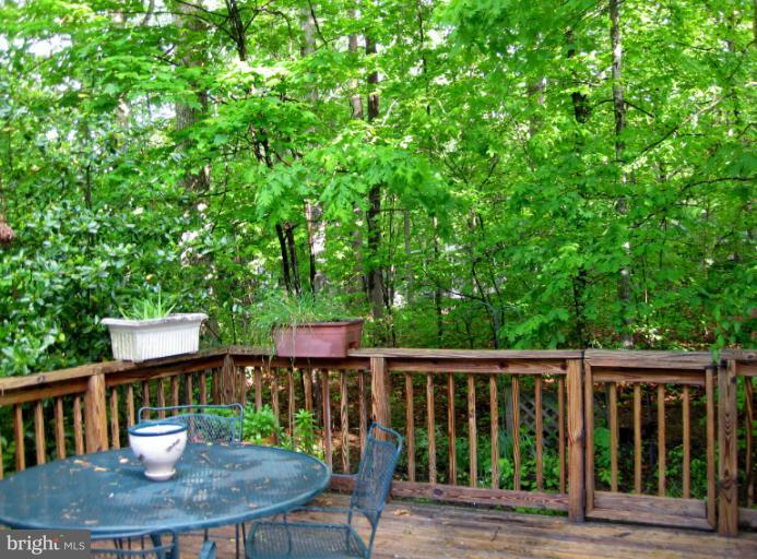 301 Happy Creek Road Locust Grove, VA 22508 - Photo 23 of 30 Gorgeous deck