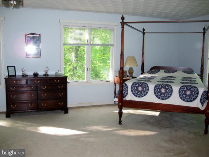 301 Happy Creek Road Locust Grove, VA 22508 - Photo 10 of 30 Amazingly large master