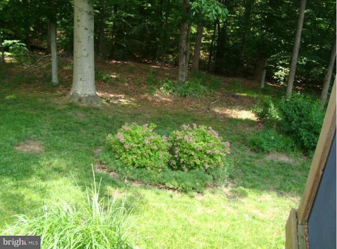 8426 Rainbow Bridge Lane Springfield, VA 22153 - Photo 8 of 18 Backyard