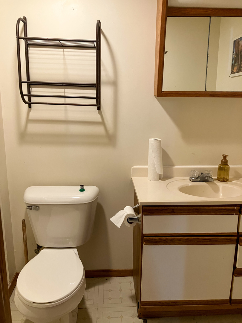 523 Barden Street Morrison, IL 61270 - Photo 26 of 37 a bathroom with a sink a toilet and mirror