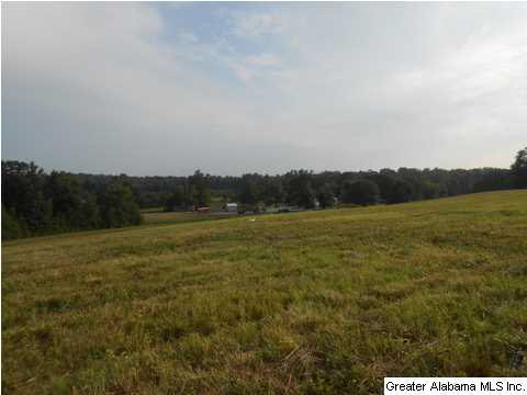 1400 Wilson Chapel Road, Unit 28 ACRES Oneonta, AL 35121 - Photo 13 of 19