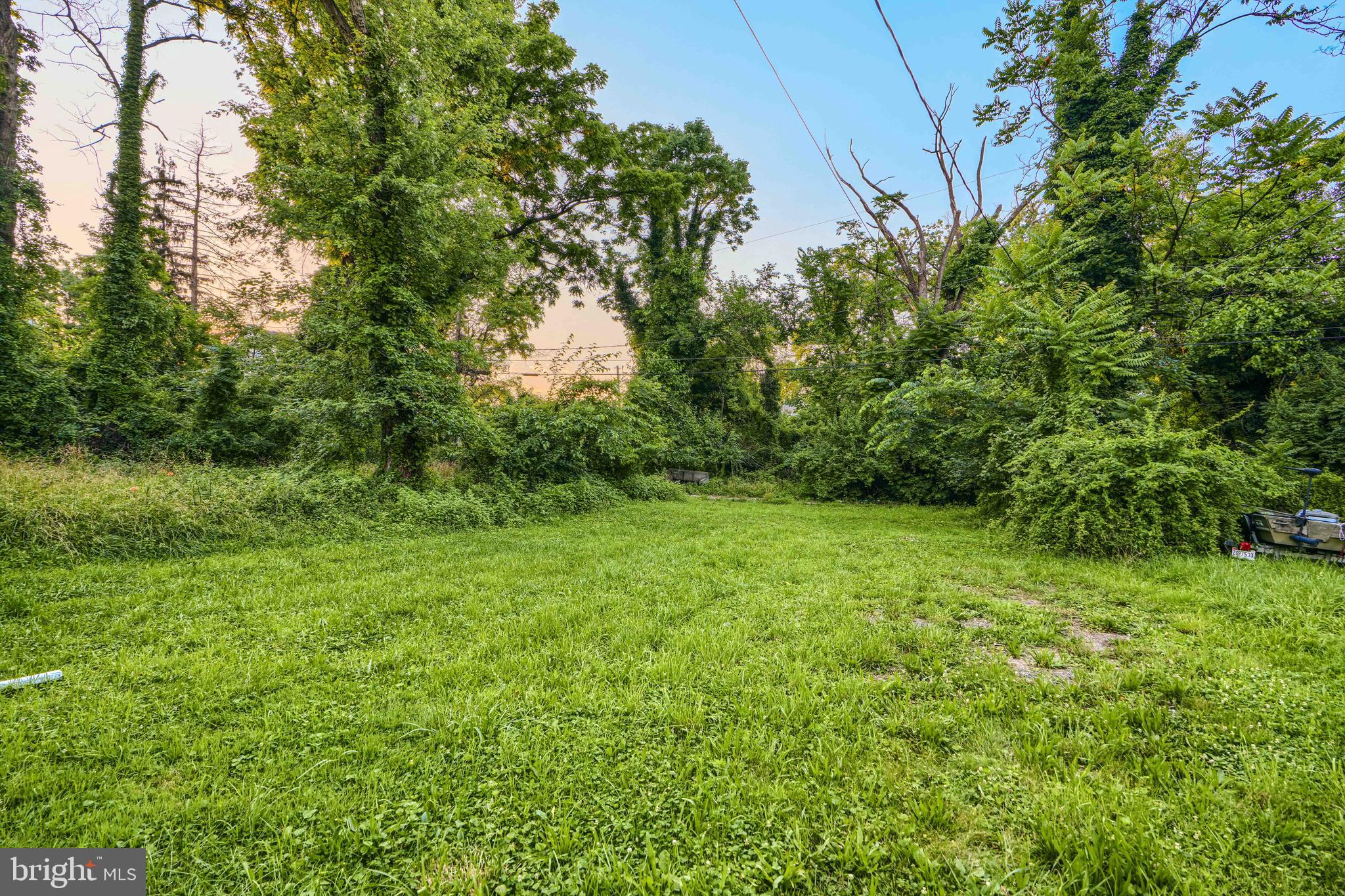 3308 Walbrook Avenue Baltimore, MD 21216 - Photo 31 of 32 a view of a yard with plants and a tree