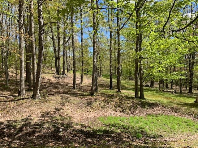 316 Crow Hill Road Pownal, VT 05261 - Photo 33 of 40