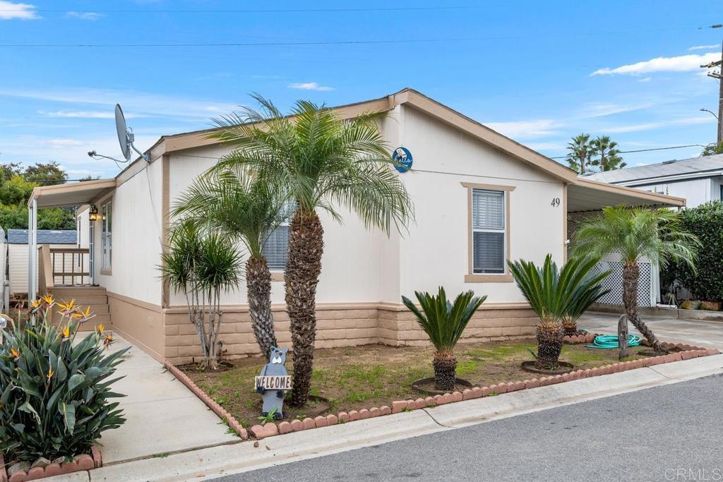 a palm plant sitting in front of a house with potted plants