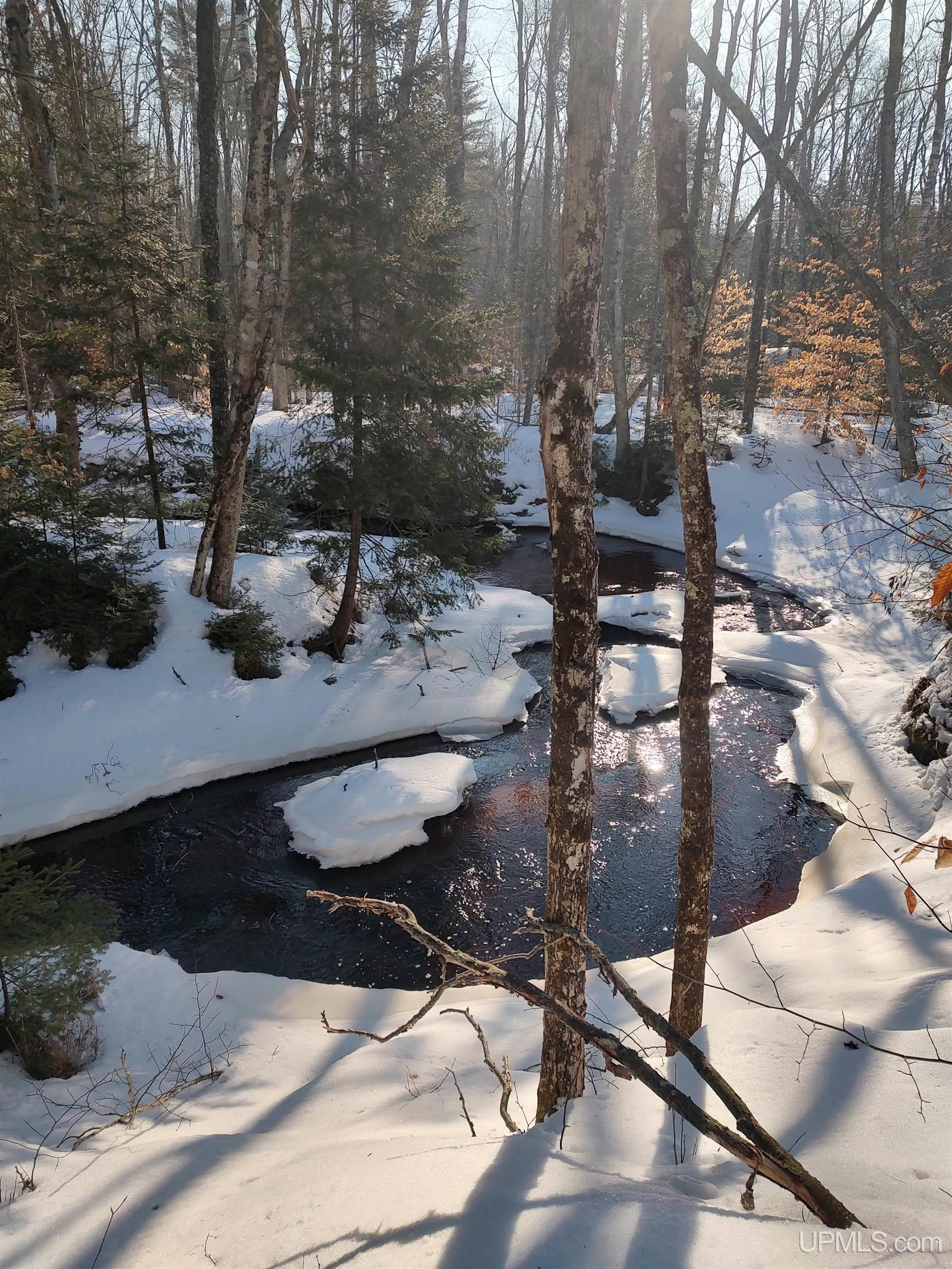 40-acres Gierke Road Manistique, MI 49854 - Photo 4 of 39
