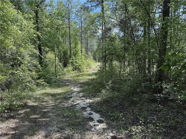 $139,900 | 14.78-acres Sidney Spell Road, Bush, LA 70431