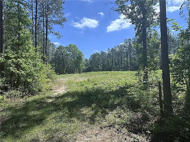 $139,900 | 14.78-acres Sidney Spell Road, Bush, LA 70431