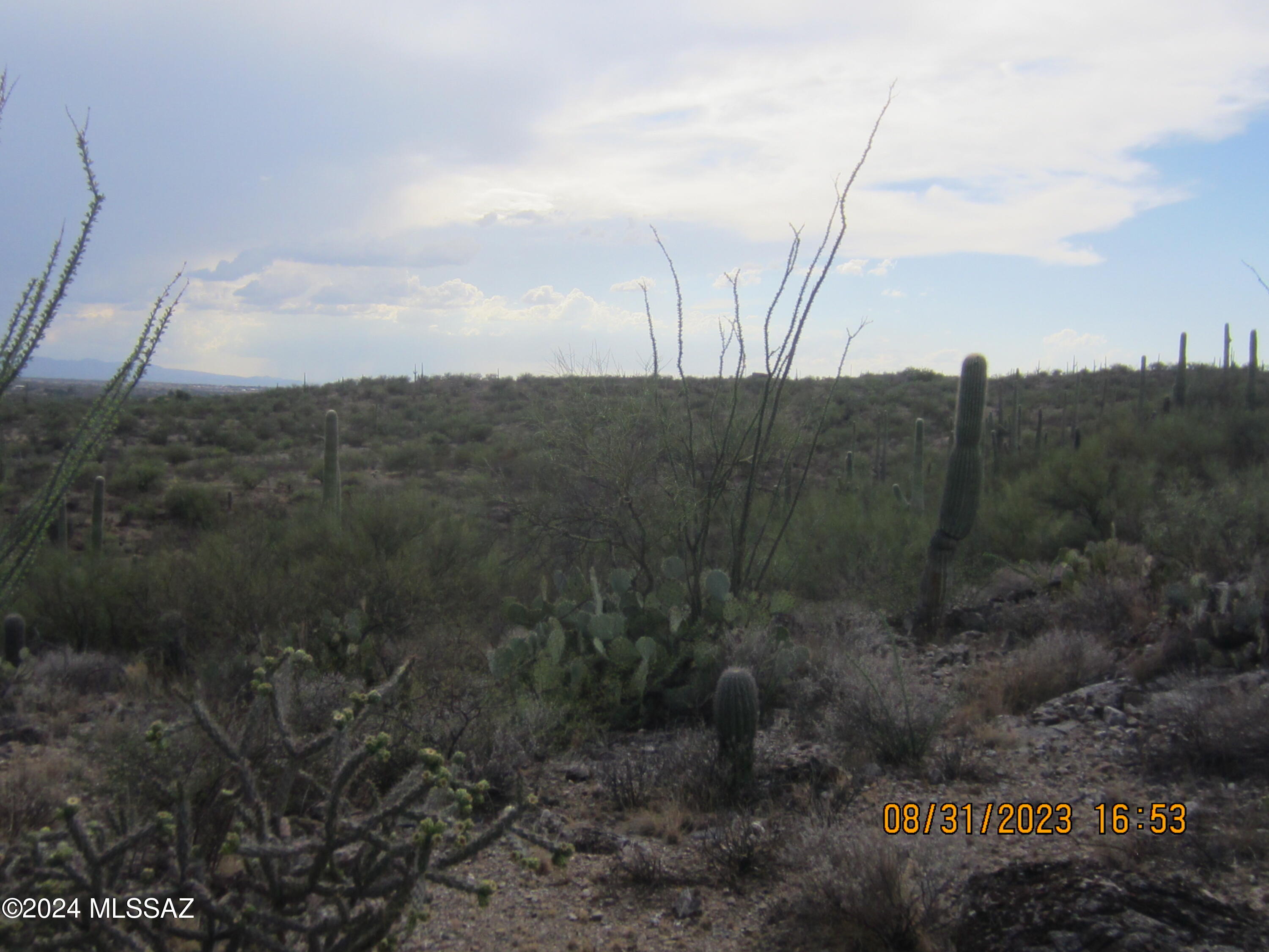 0 East Rincon Creek Ranch Road Tucson, AZ 85747 - Photo 41 of 46 Gallery Image 41