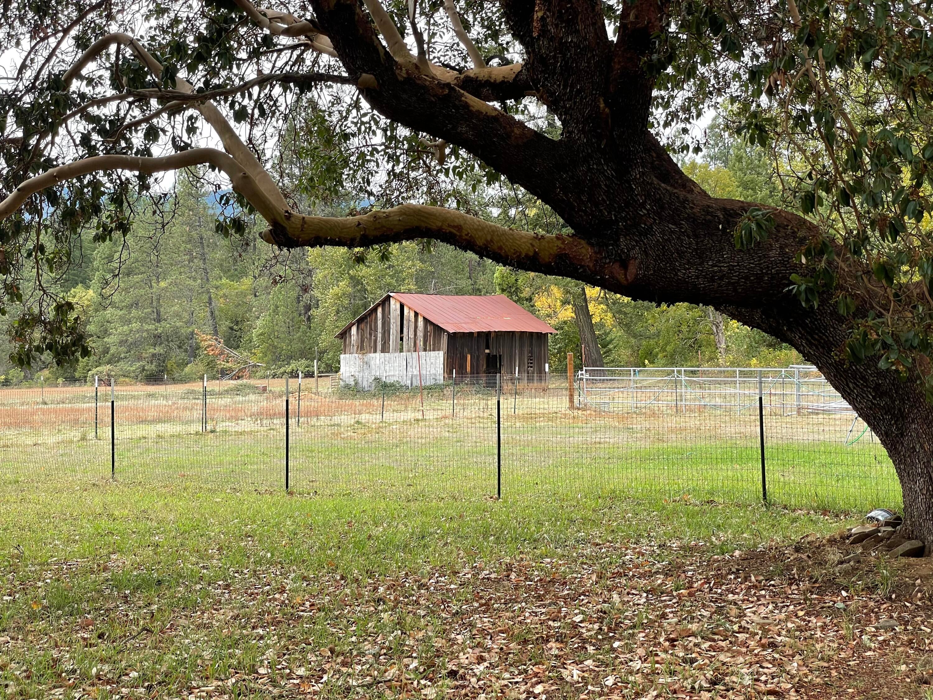 800 Deer Creek Road Selma, OR 97538 - Photo 8 of 42 Shelter Barn for Horses