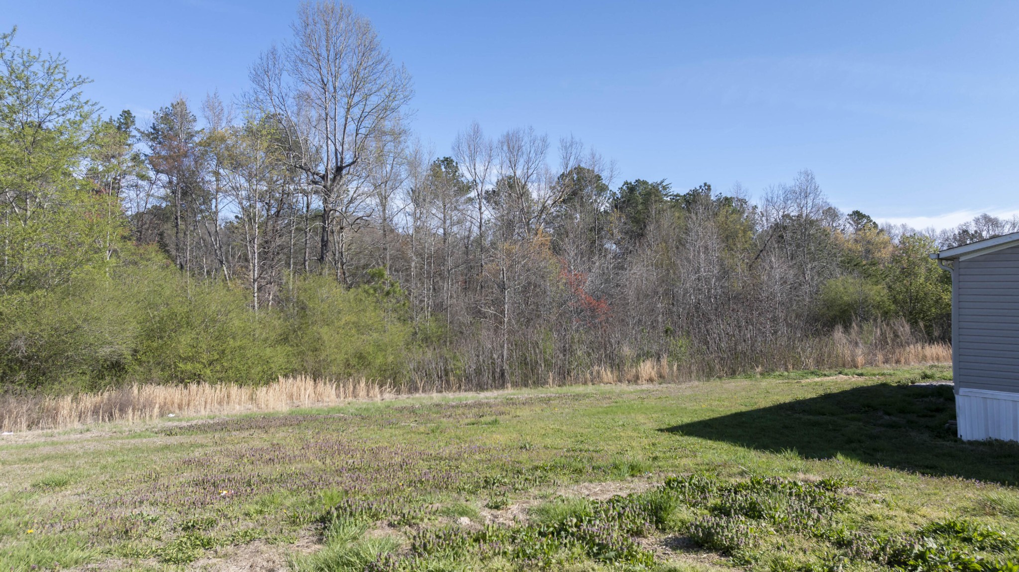 164 Griffith Lane Decatur, TN 37322 - Photo 7 of 22 Gallery Image 7
