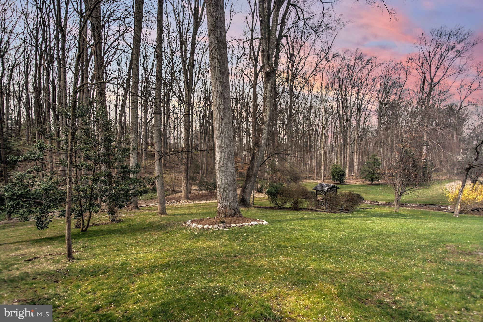 2036 Adams Hill Road Vienna, VA 22182 - Photo 25 of 25 Backyard