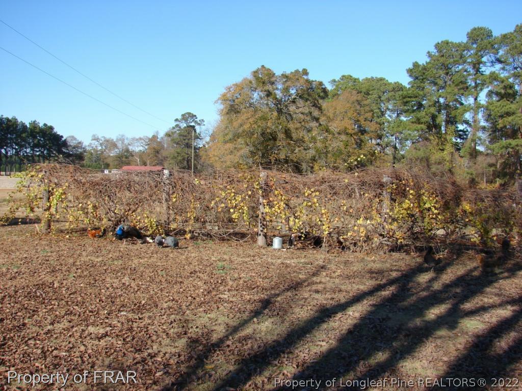 2923 County Line Road Fayetteville, NC 28306 - Photo 6 of 28 Gallery Image 6