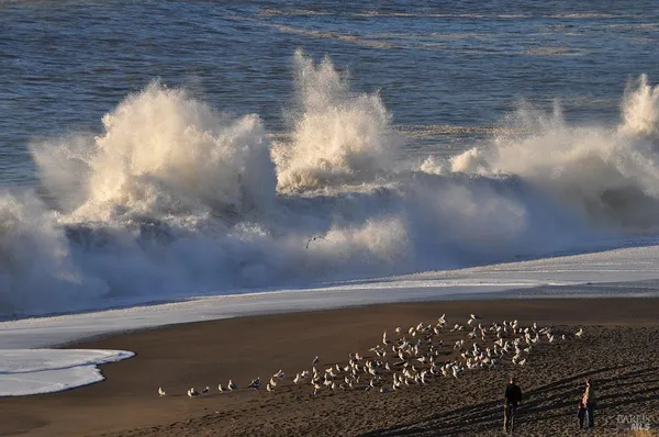 $1,182,000 | 10777 Rock Point Drive, Jenner, CA 95450