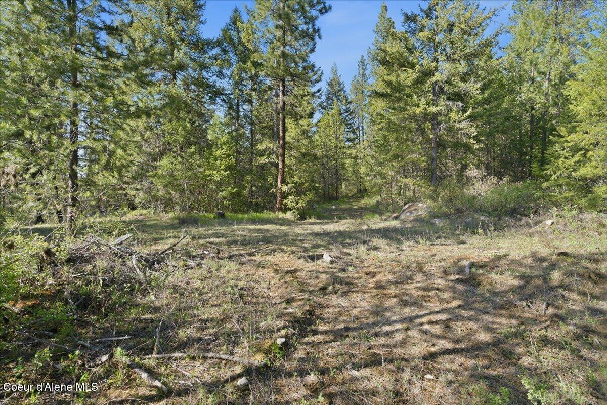 Nna Sunset Hill Road Athol, ID 83801 - Photo 11 of 29 11-Sunset Hill Dr_RedHogMedia