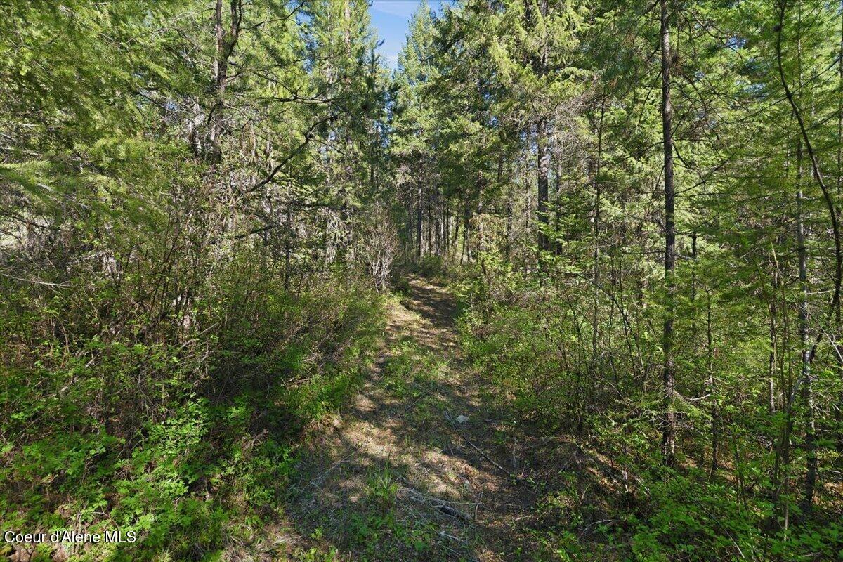 Nna Sunset Hill Road Athol, ID 83801 - Photo 12 of 29 12-Sunset Hill Dr_RedHogMedia