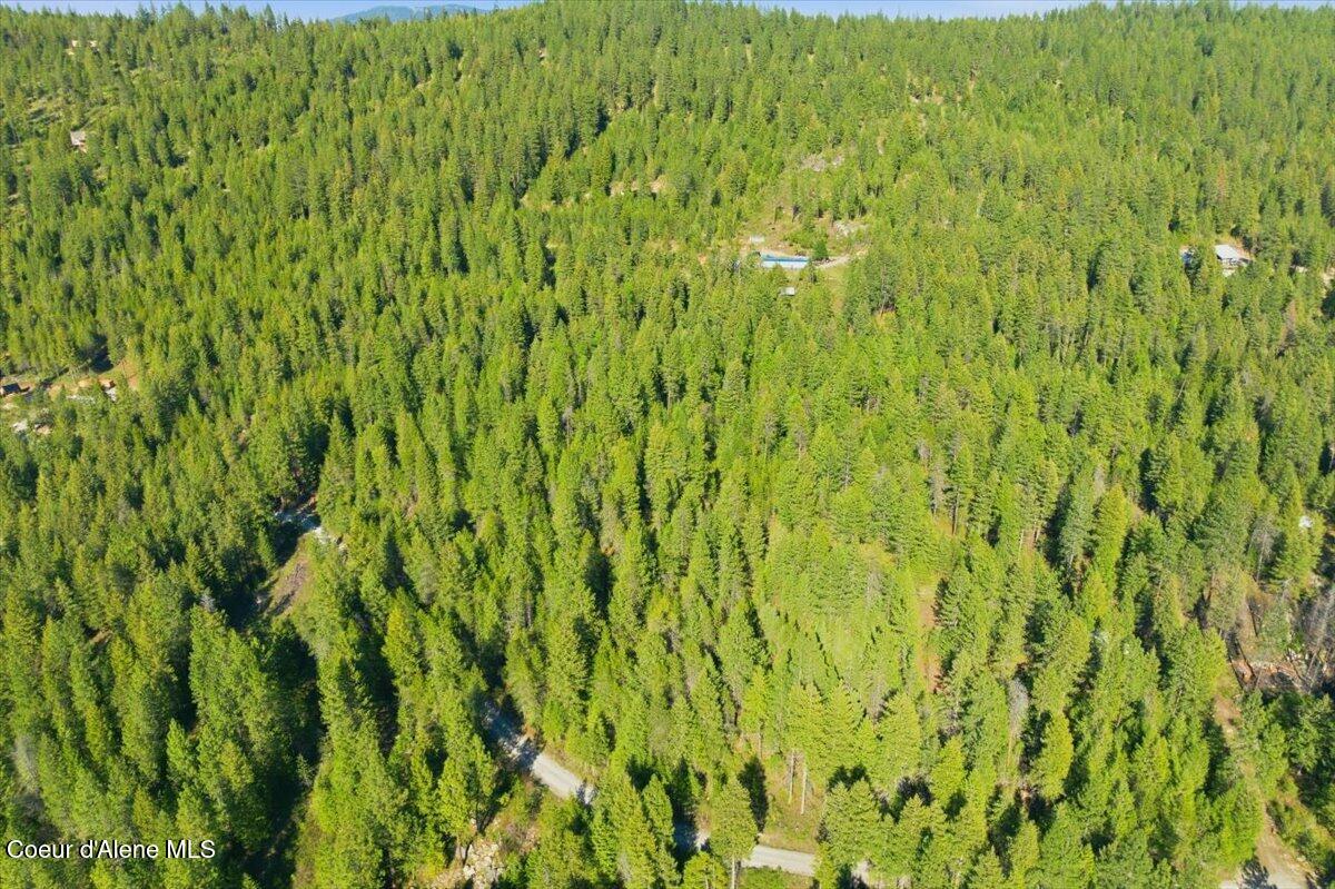 Nna Sunset Hill Road Athol, ID 83801 - Photo 4 of 29 04-Sunset Hill Dr_RedHogMedia
