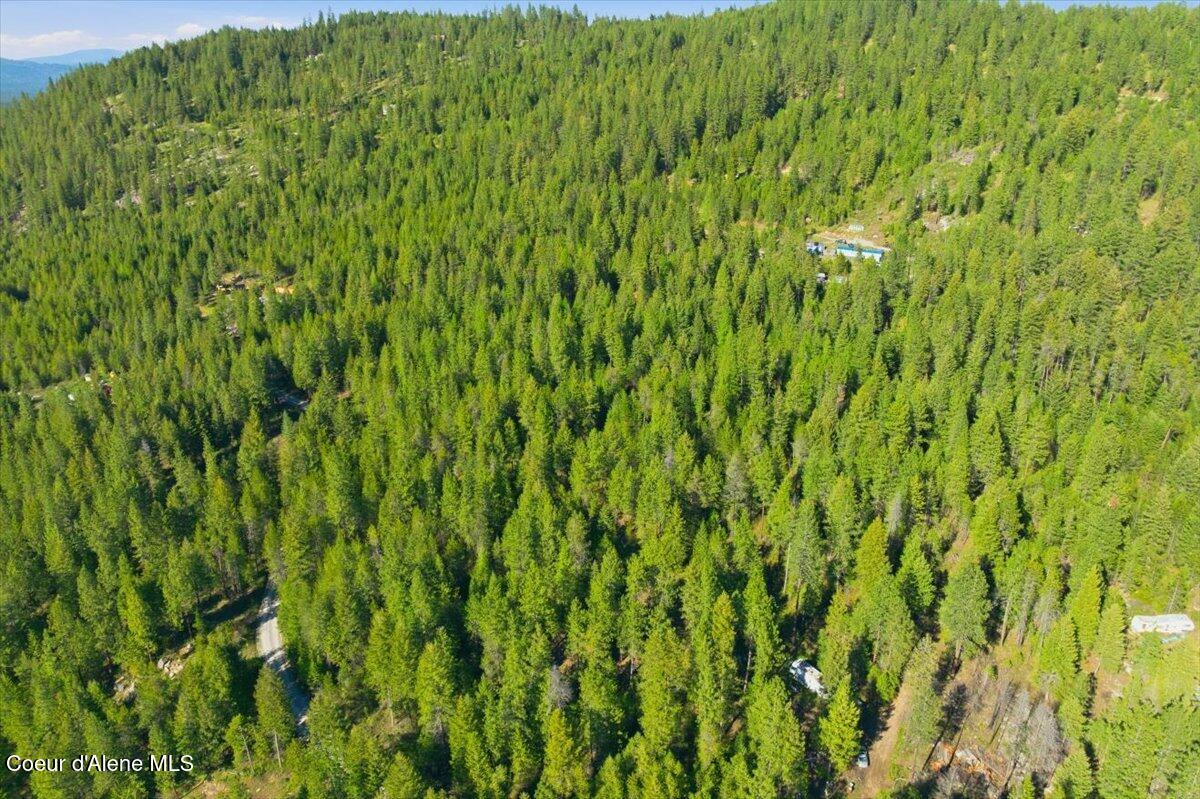 Nna Sunset Hill Road Athol, ID 83801 - Photo 5 of 29 05-Sunset Hill Dr_RedHogMedia