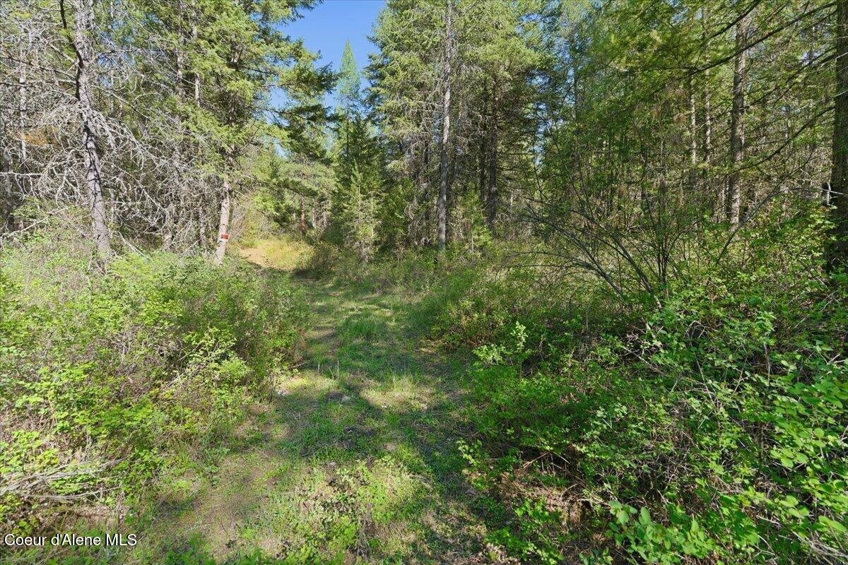 Nna Sunset Hill Road Athol, ID 83801 - Photo 6 of 29 06-Sunset Hill Dr_RedHogMedia