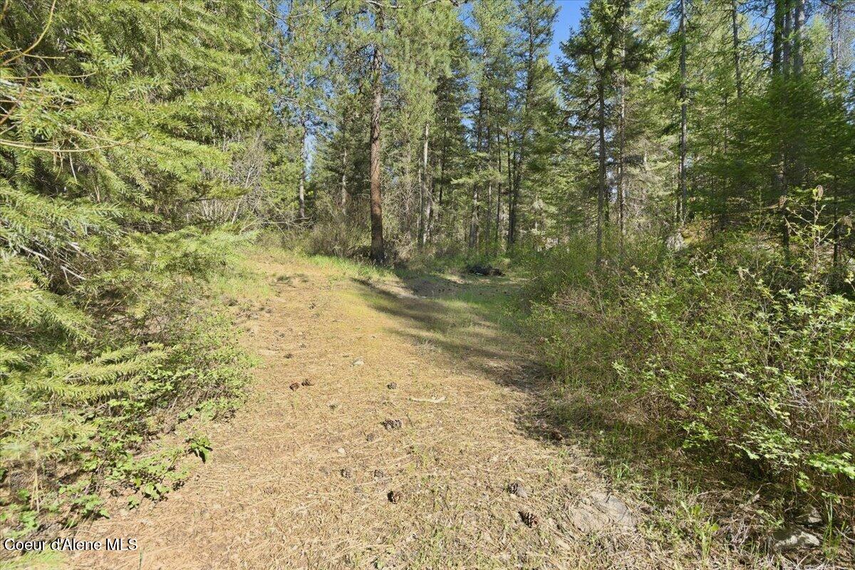 Nna Sunset Hill Road Athol, ID 83801 - Photo 7 of 29 07-Sunset Hill Dr_RedHogMedia