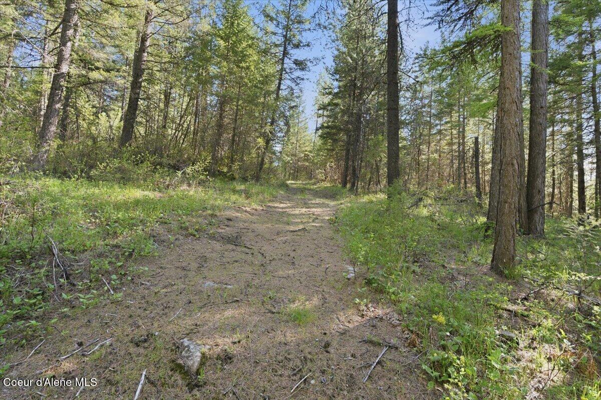 Nna Sunset Hill Road Athol, ID 83801 - Photo 8 of 29 08-Sunset Hill Dr_RedHogMedia