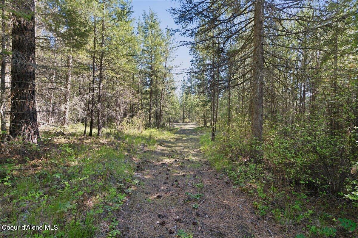 Nna Sunset Hill Road Athol, ID 83801 - Photo 9 of 29 09-Sunset Hill Dr_RedHogMedia