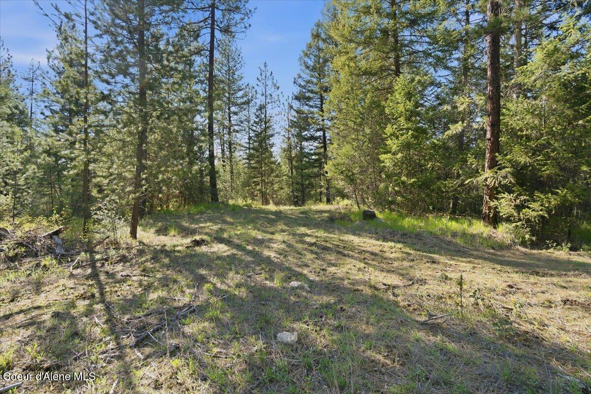 Nna Sunset Hill Road Athol, ID 83801 - Photo 10 of 29 10-Sunset Hill Dr_RedHogMedia