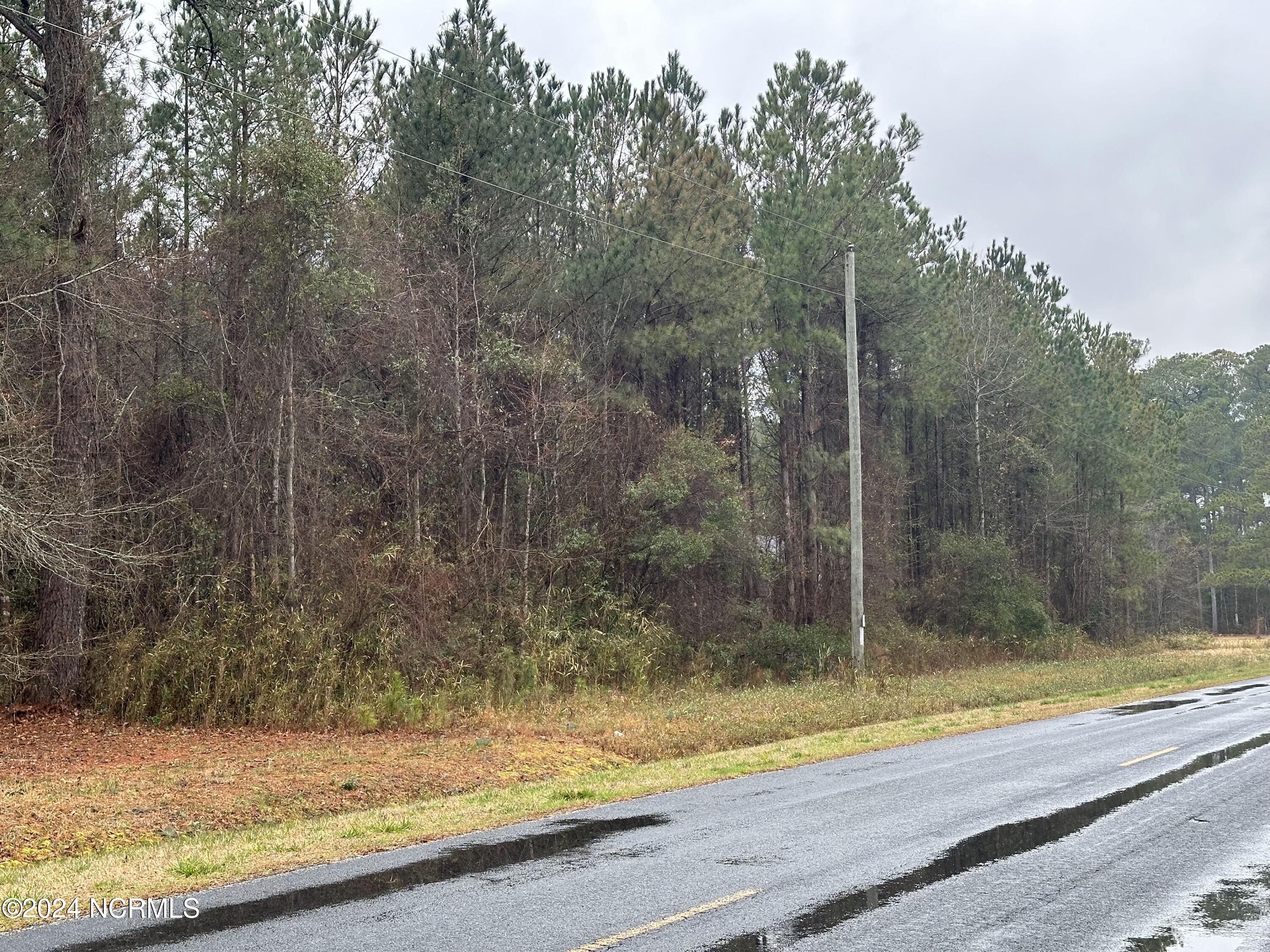 132 Pocosin Road Washington, NC 27889 - Photo 2 of 4 IMG_2979