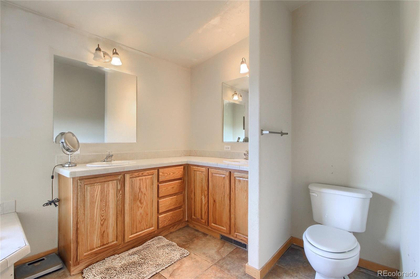 399 Buffum Street Bailey, CO 80421 - Photo 17 of 30 a spacious bathroom with a toilet a sink and mirror
