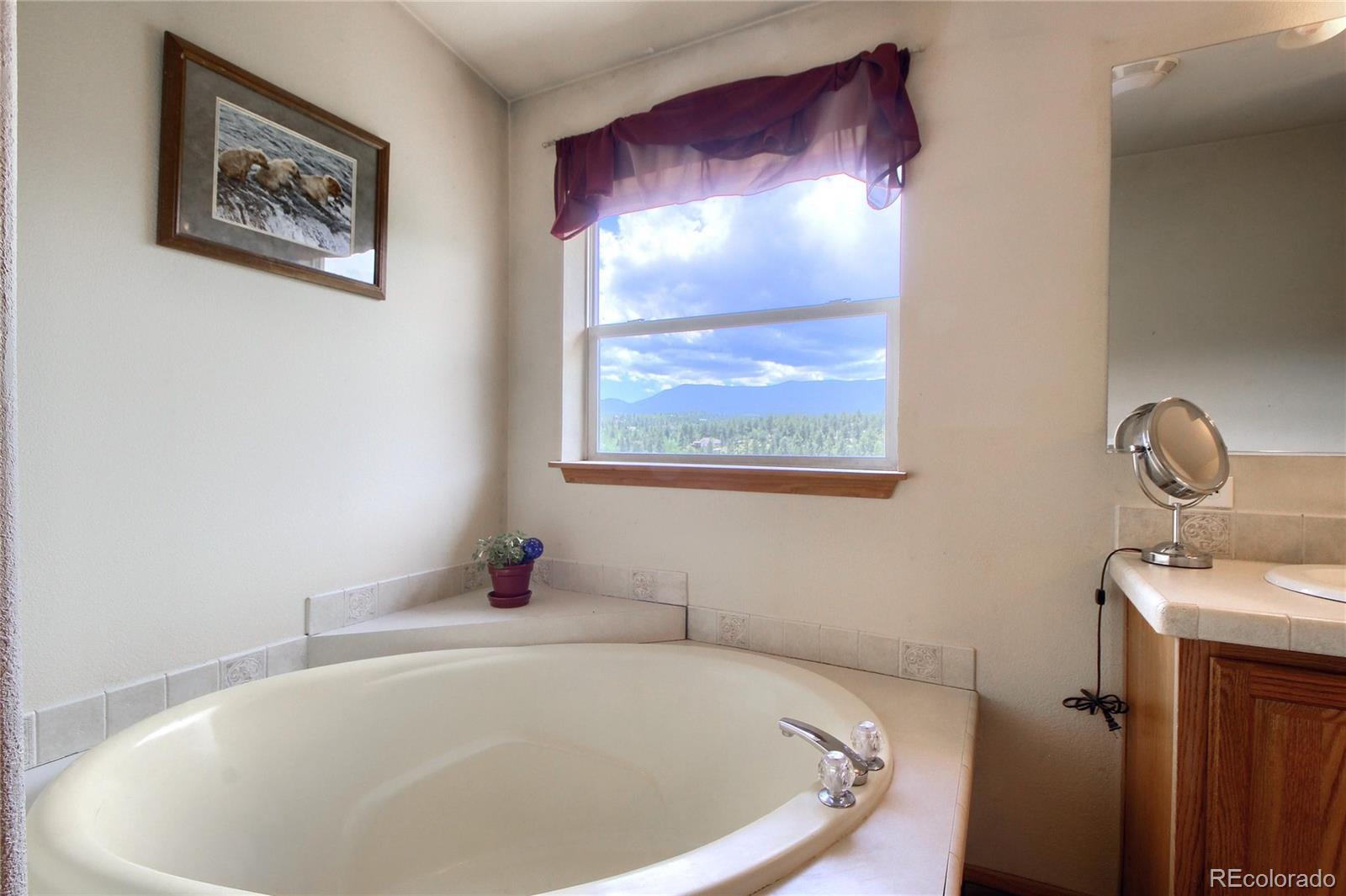 399 Buffum Street Bailey, CO 80421 - Photo 18 of 30 a bathroom with a tub