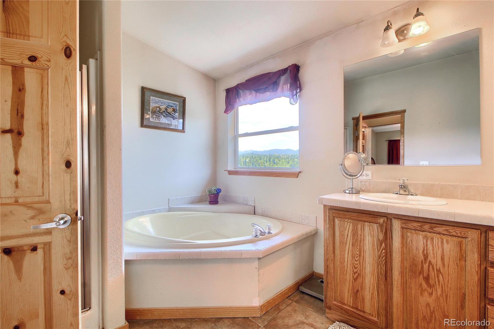 399 Buffum Street Bailey, CO 80421 - Photo 19 of 30 a bathroom with a tub sink and mirror