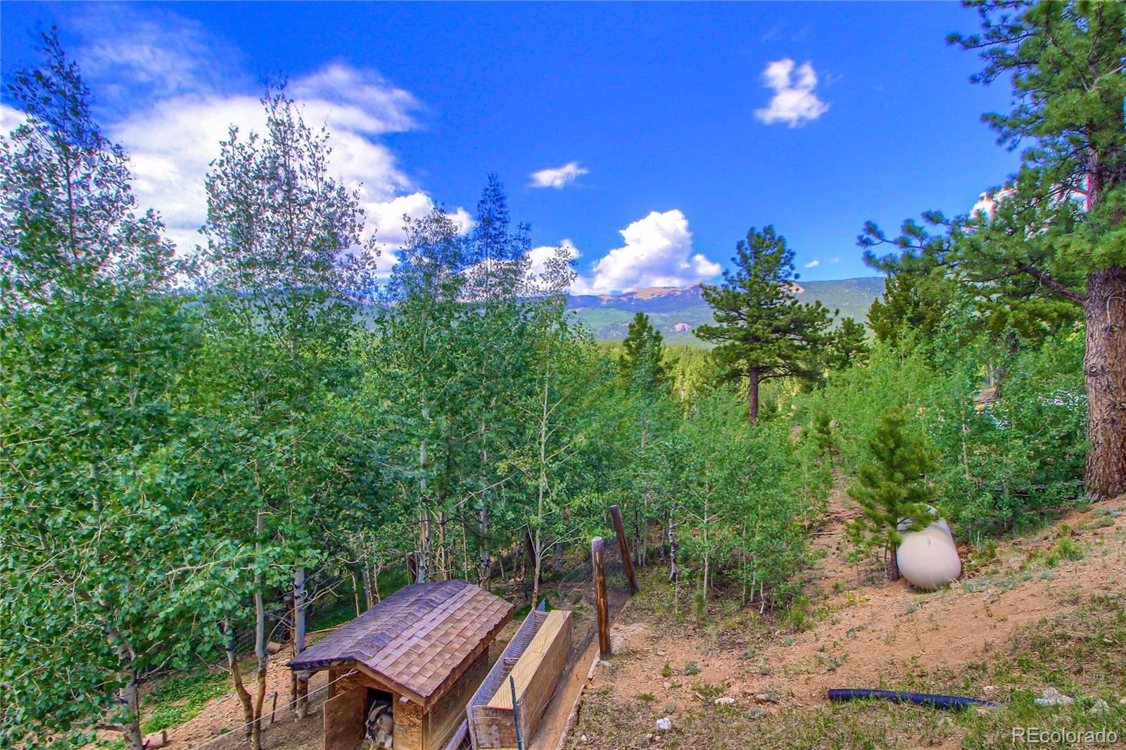 399 Buffum Street Bailey, CO 80421 - Photo 24 of 30 a view of a backyard with table and chairs and potted plants