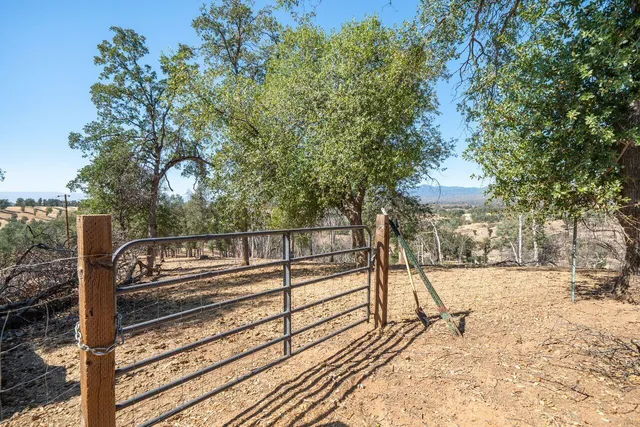a view of city with ocean