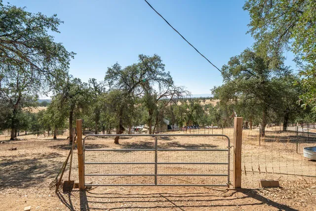 a view of road with trees