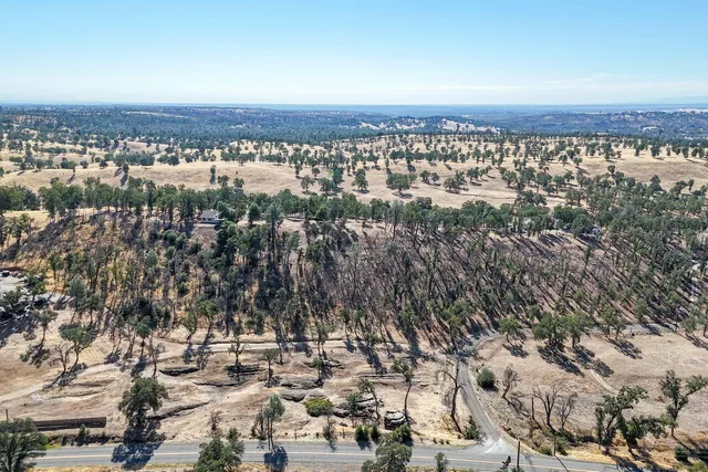 front view of house with large trees