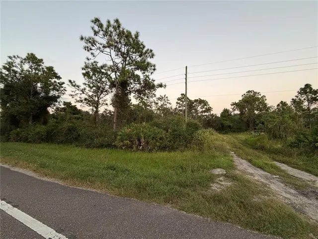 a view of a field with a tree in the background