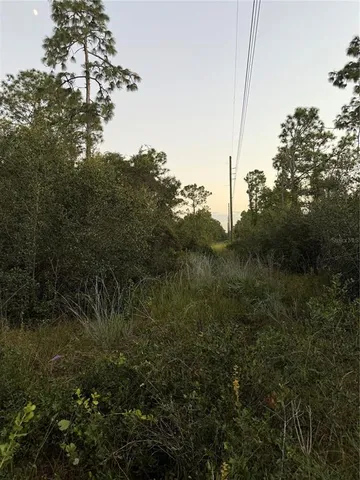 a view of a city with lush green forest