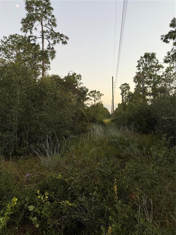 Northeast 17th Avenue Okeechobee, FL 34972 - Photo 2 of 4 a view of a city with lush green forest